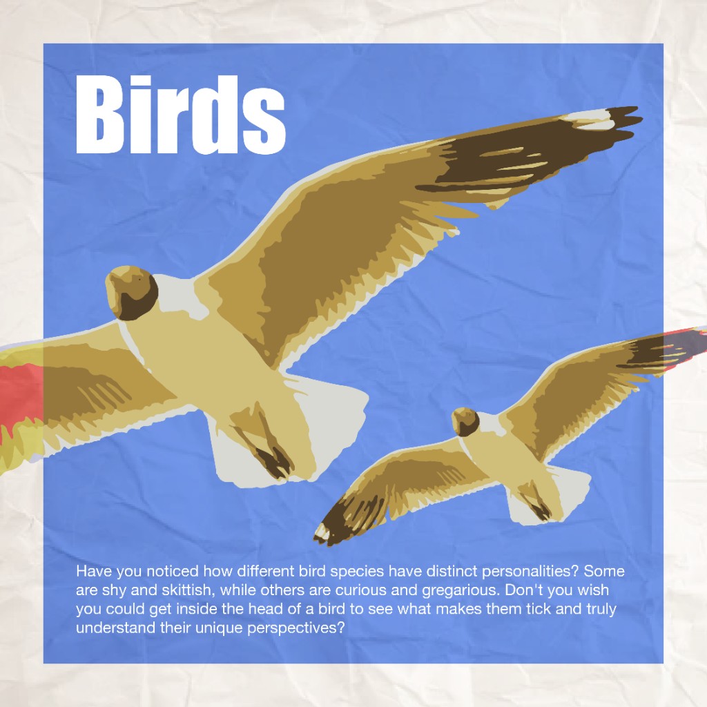 Personal project - 1:1 carousel (3 slides): textured-paper frames with bold color blocks - Birds (seagulls, personality-led copy); Crocodiles (aggression, patience, predator tone); Monkeys (playful energy and clever, zodiac-style storytelling). - Slide 1 of 3