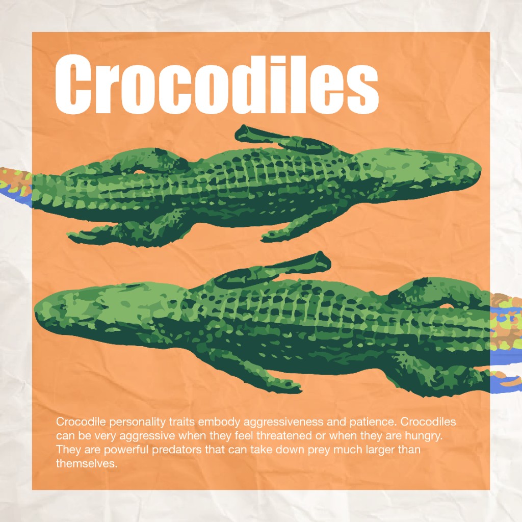 Personal project - 1:1 carousel (3 slides): textured-paper frames with bold color blocks - Birds (seagulls, personality-led copy); Crocodiles (aggression, patience, predator tone); Monkeys (playful energy and clever, zodiac-style storytelling). - Slide 2 of 3